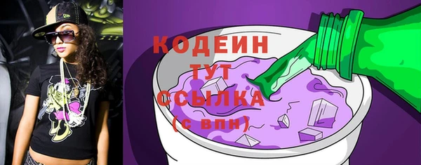 мдпв Бородино