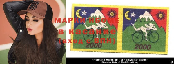 мдпв Бородино