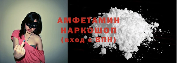 мдпв Бородино