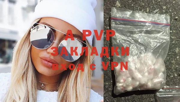 PSILOCYBIN Бронницы