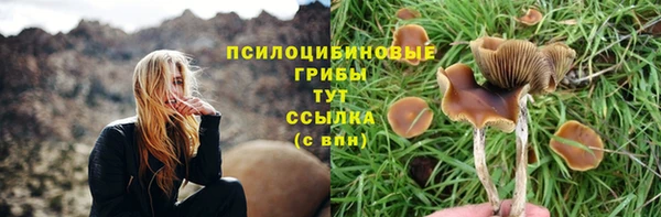 PSILOCYBIN Бронницы