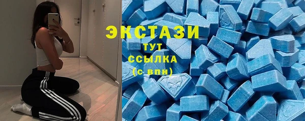 мдпв Бородино