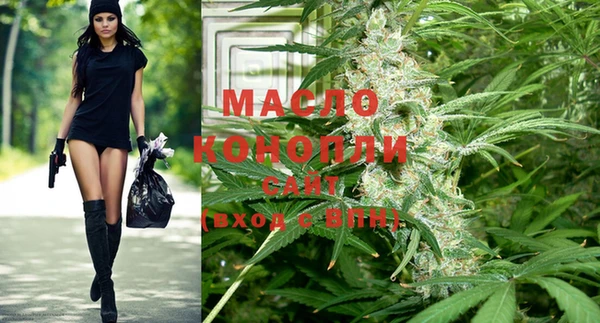 мдпв Бородино