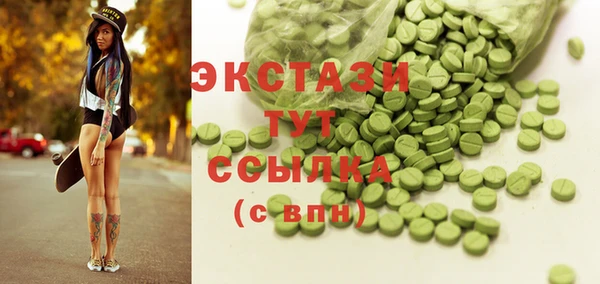 мдпв Бородино