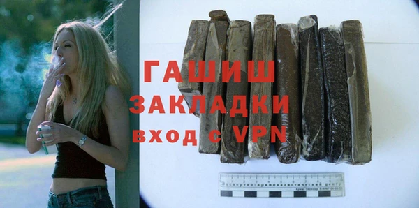мдпв Бородино