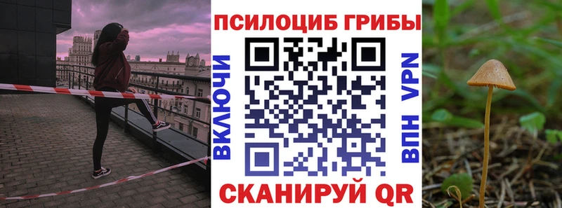 Галлюциногенные грибы мицелий  Нестеров 